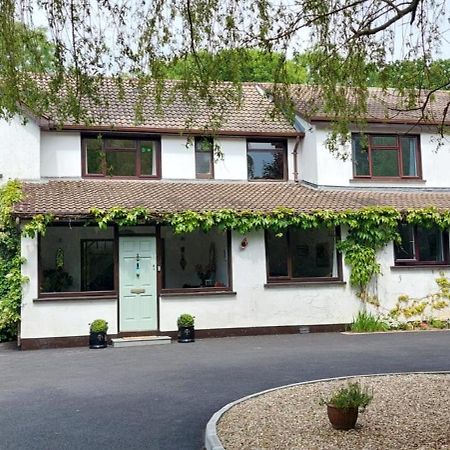 Riverfield Bed And Breakfast Gorey Eksteriør bilde
