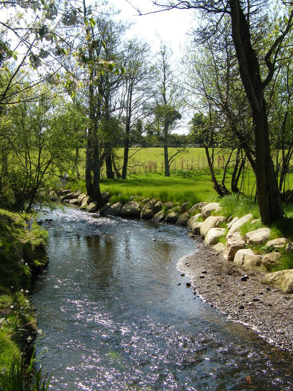 Riverfield Bed And Breakfast Gorey Eksteriør bilde
