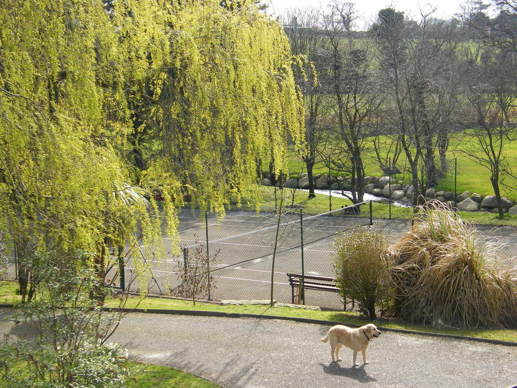 Riverfield Bed And Breakfast Gorey Eksteriør bilde