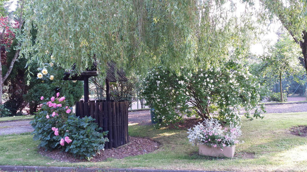 Riverfield Bed And Breakfast Gorey Eksteriør bilde