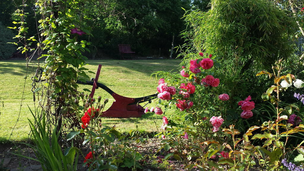 Riverfield Bed And Breakfast Gorey Eksteriør bilde