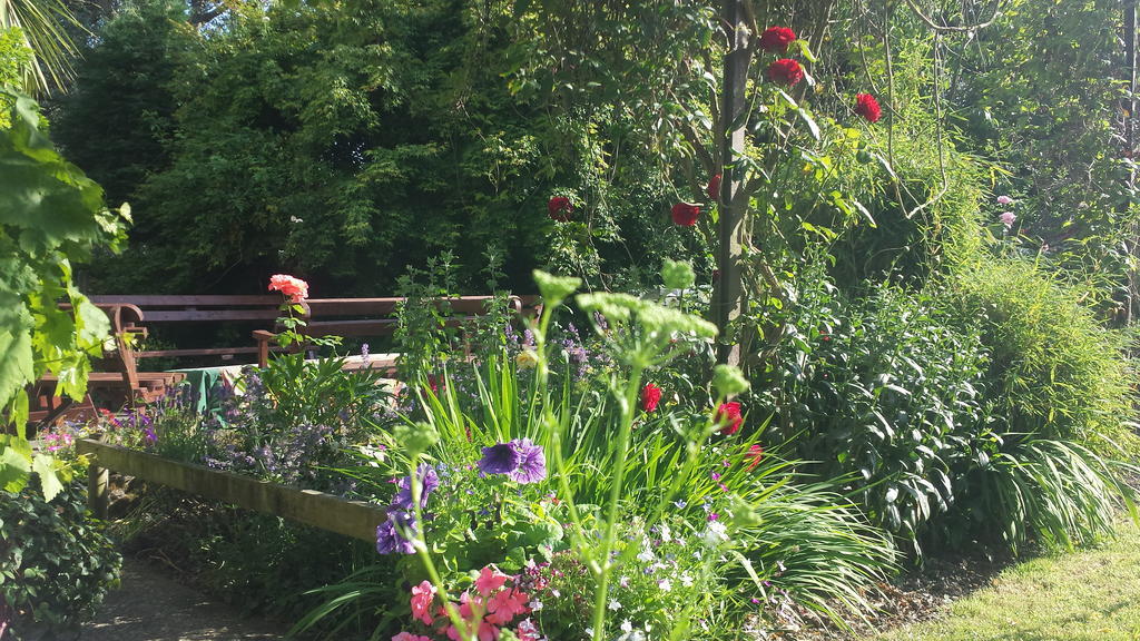 Riverfield Bed And Breakfast Gorey Eksteriør bilde